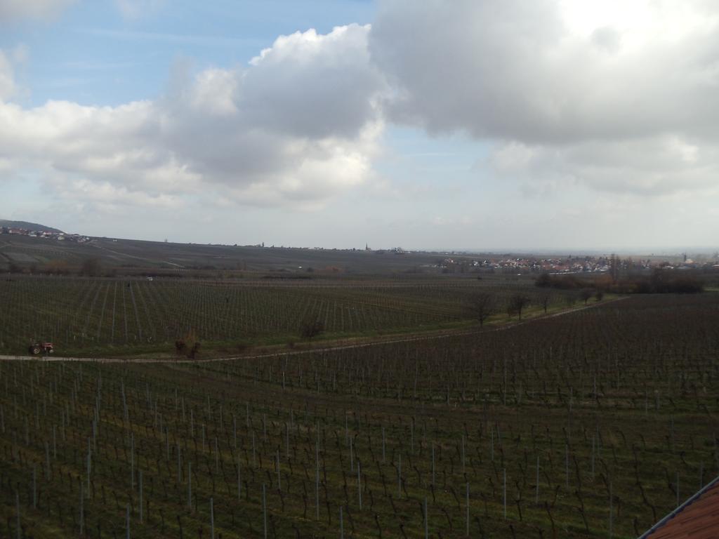 Weinhotel Kienle Burrweiler Exterior photo